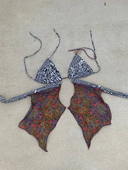 C-DDD Faekini