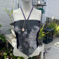 SM top